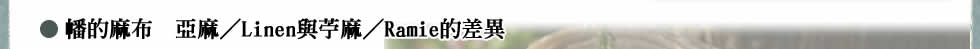 幡的麻布 亞麻／Linen與苧麻／Ramie的差異