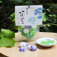 【Limited-time offer】Hanakazura Asobi (Hydrangea)