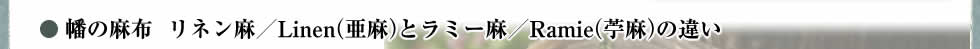 幡の麻布リネン麻／Linen（亜麻）とラミー麻／Ramie（苧麻）の違い