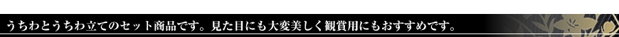 うちわとうちわ立てのセット商品です。見た目にも大変美しく観賞用にもおすすめです。